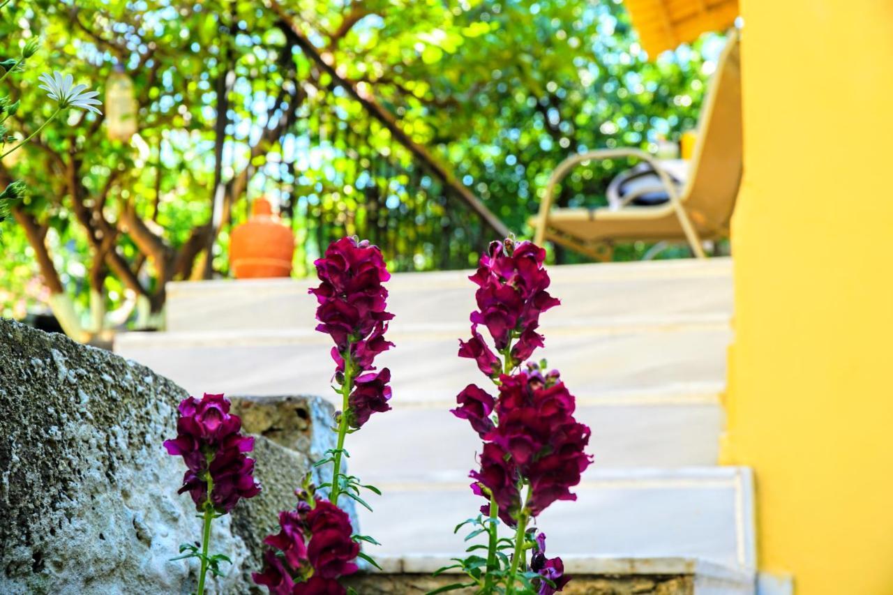Agnanti House Villa Сими Екстериор снимка